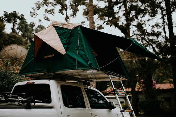 Quels sont les conseils pour camper en toute sécurité en région de forêts pluviales?